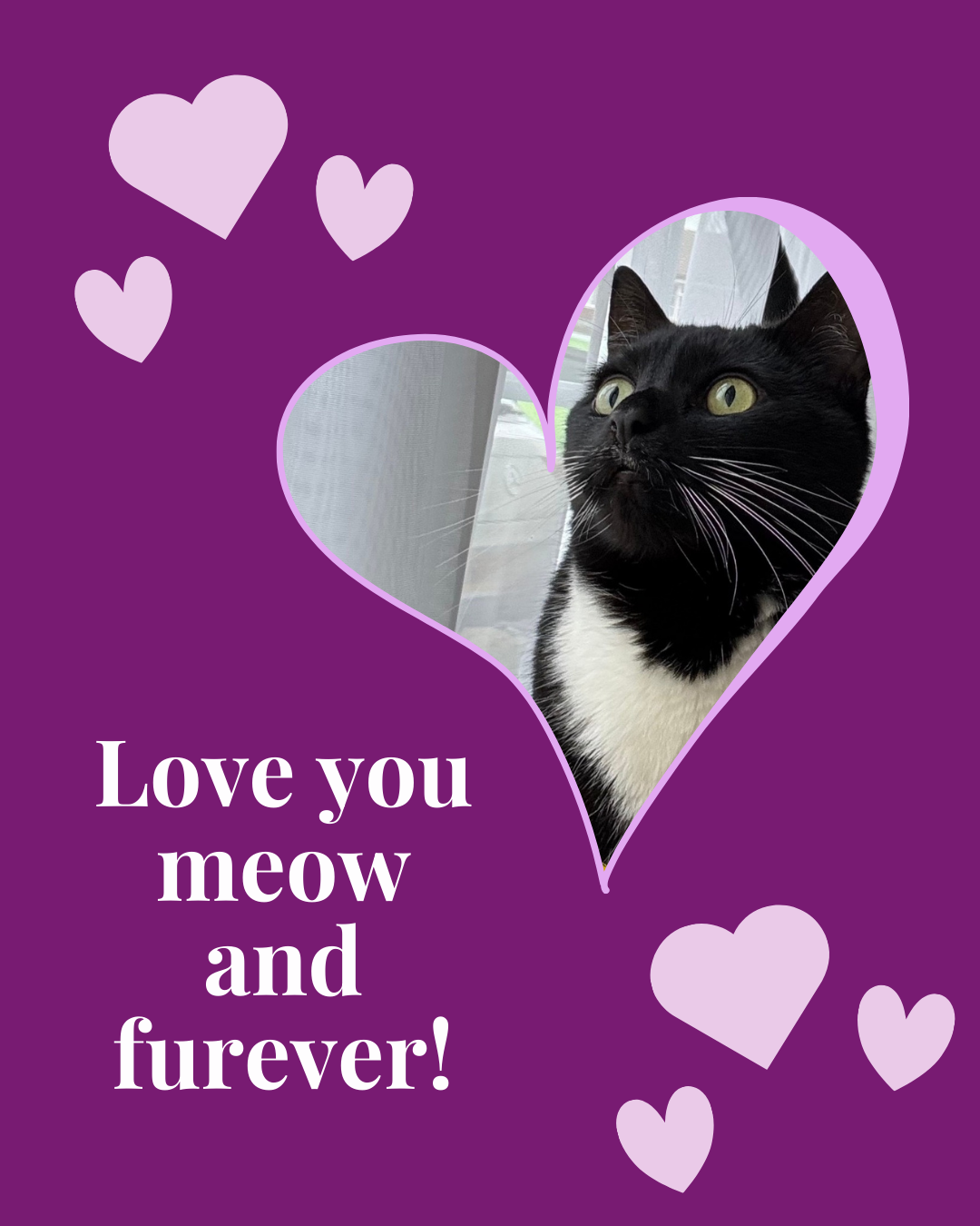 Valentine's Day 2026 - image 3